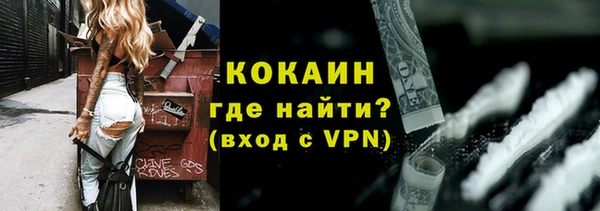 шишки Белокуриха