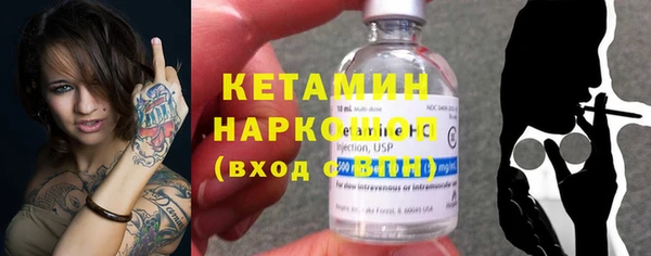 шишки Белокуриха