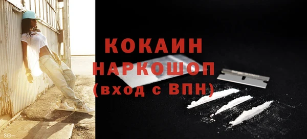 шишки Балабаново