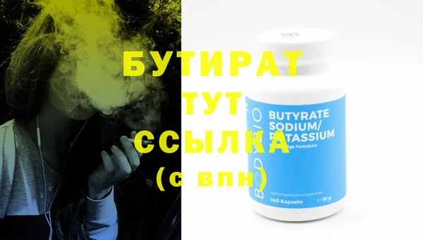 шишки Белокуриха