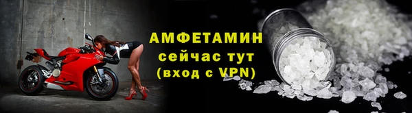 шишки Белокуриха