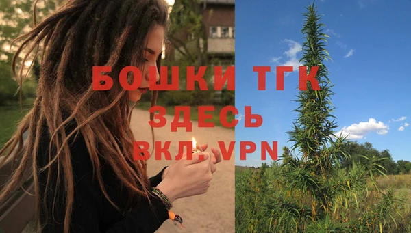 шишки Балабаново