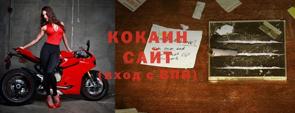 шишки Белокуриха